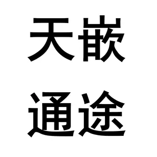 天嵌通途